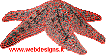www.webdesigns.it stella marina